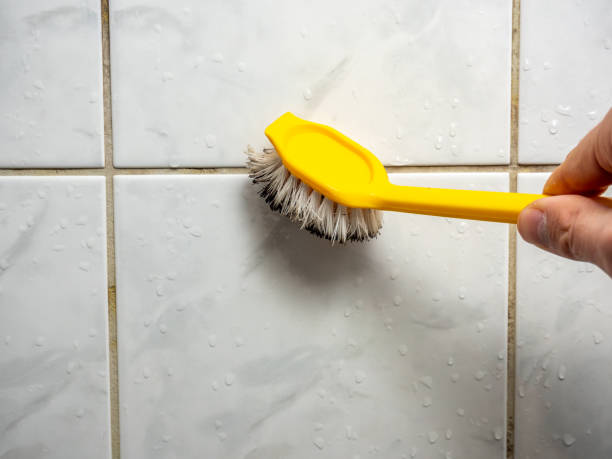 Best Emergency Mold Removal  in Union City, IN