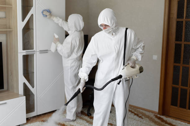 Best Attic Mold Removal  in Union City, IN
