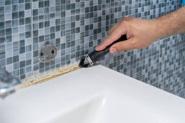 Best Residential Mold Removal  in Union City, IN