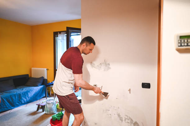 Best Crawl Space Mold Removal  in Union City, IN